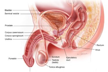 Delayed ejaculation