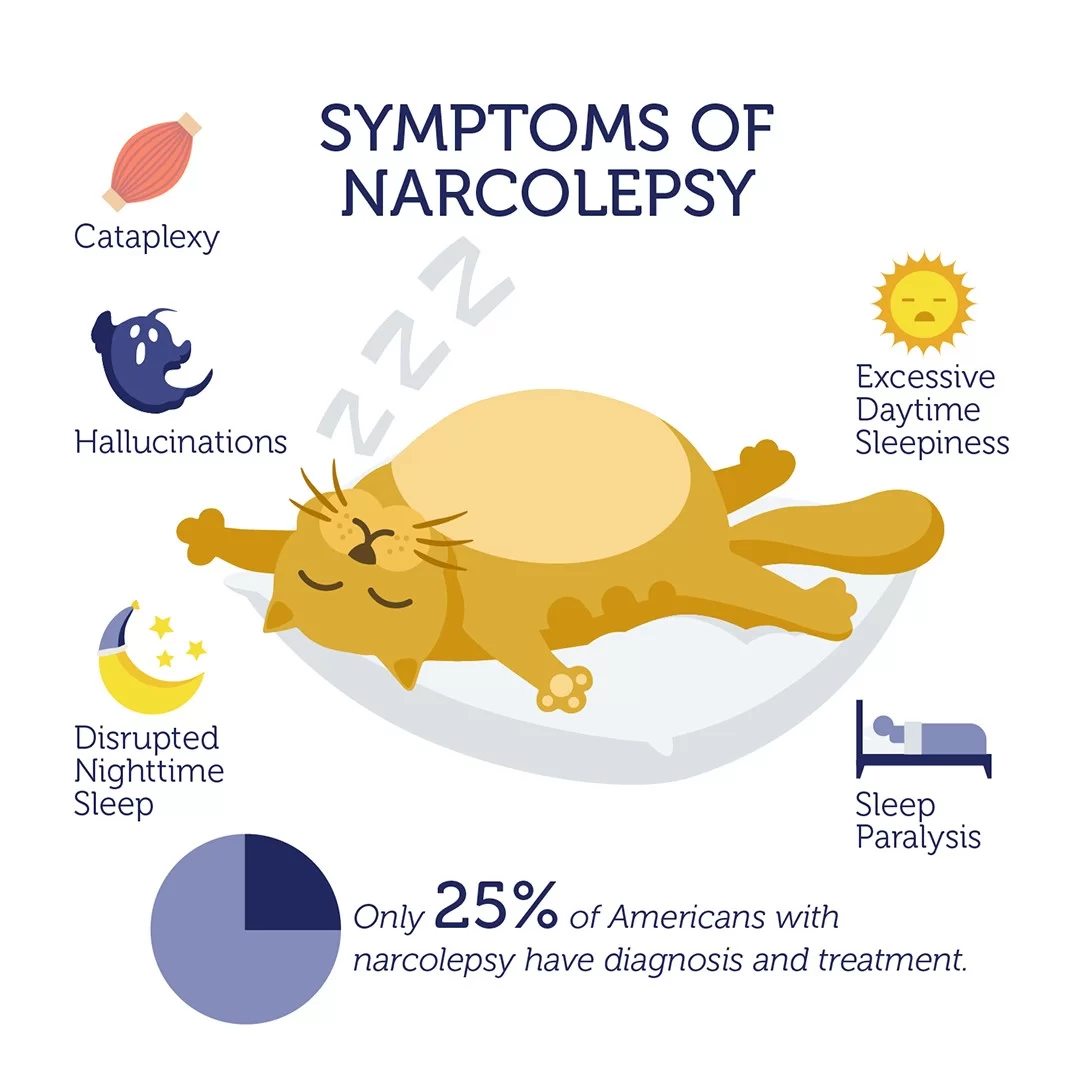 Understanding Narcolepsy in California: Causes, Symptoms, and Treatments